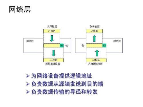 网络层的数据传输设备是（网络层传输的数据称为）-图3