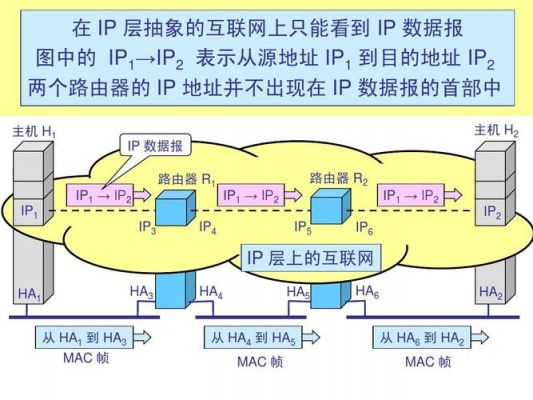 网络层的数据传输设备是（网络层传输的数据称为）-图2