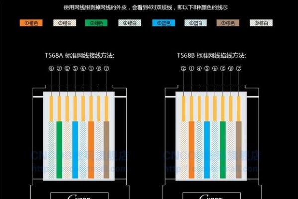 网线电子传输吗（网线能传输文件吗）-图2