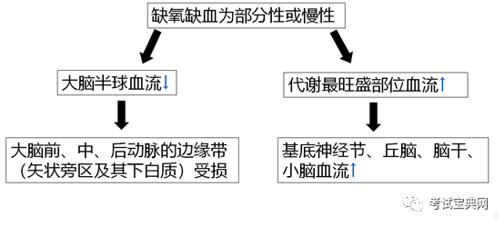 室外宏站天线传输模式（缺氧为什么会引起神经细胞兴奋性降低）-图1