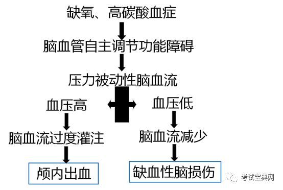 室外宏站天线传输模式（缺氧为什么会引起神经细胞兴奋性降低）-图3