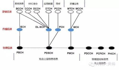 lte最大传输速度（lte传输数据用的什么信道）-图3