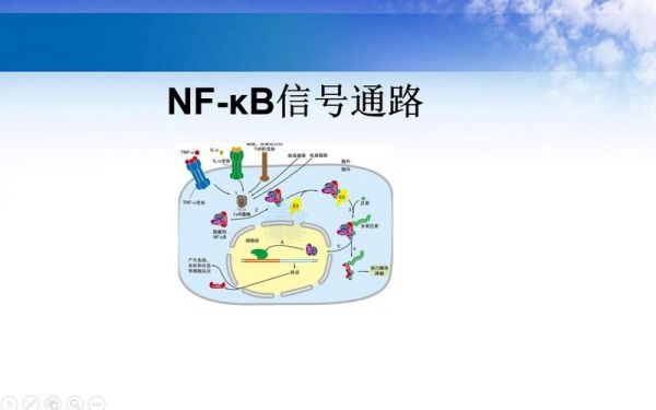 小信号用什么线传输（小信号范围）-图2