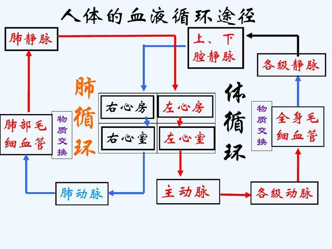 循环式传输摸式（循环式传输模式）-图1