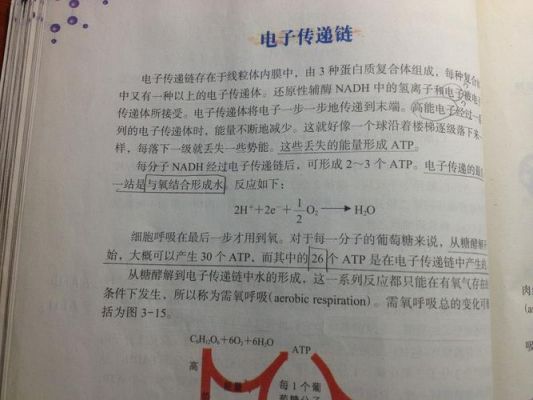 电子传输方式有哪些问题（电子传输方式有哪些问题及答案）-图3