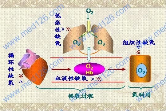 信号传输暂时（缺氧为什么会引起神经细胞兴奋性降低）