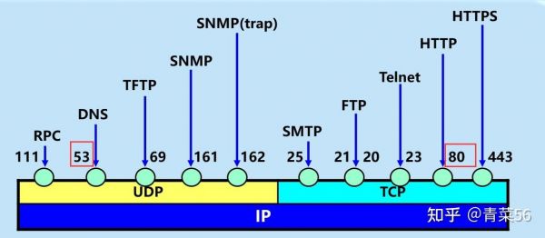传输层有哪些端口（传输层有哪些端口类型）-图2