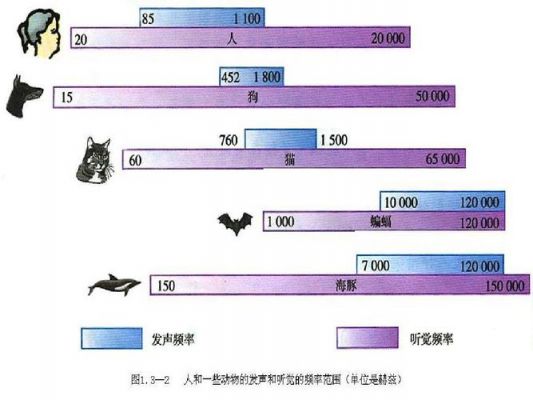 超声波传输距离（超声波传输距离比次声波强）