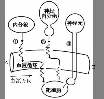 人体传输器（人体信息传输功能）-图3