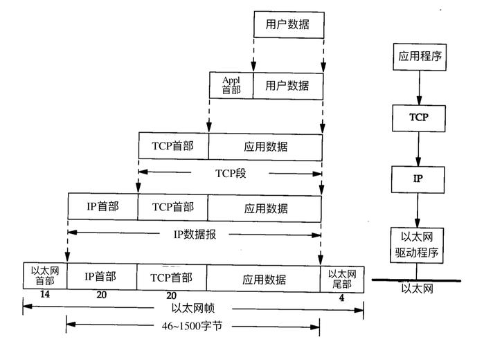 传输协议和封装协议（传输协议作用）