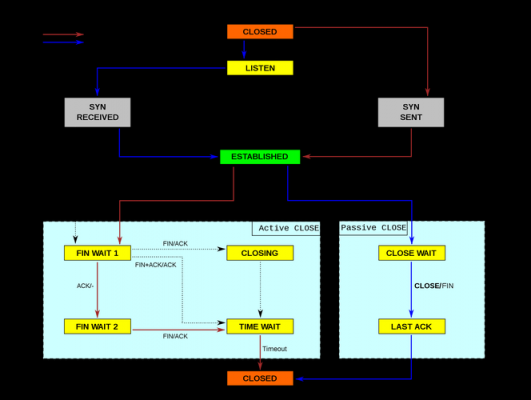 tcp数据传输采用（tcp数据传送）-图1