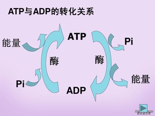 atp传输（atp传输 密文）-图1