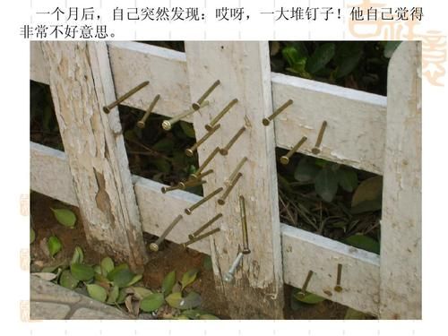 泡桐木能钉住钉子么？钉住-图2