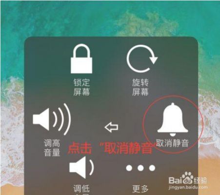 苹果手机静音键失灵了怎么办？苹果静音键失灵-图3