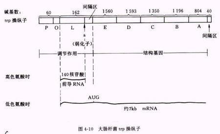 关于2401的多点传输（多传输点trp）-图3