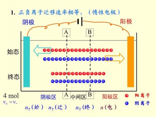 电子传输和离子传输（离子传输率）