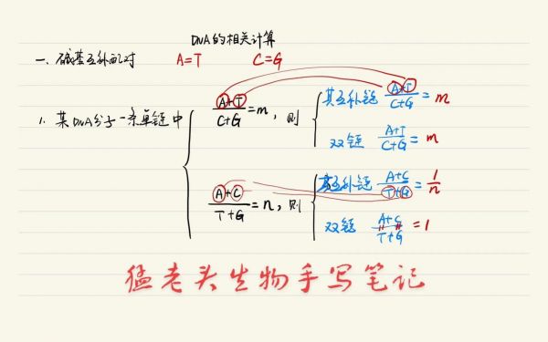 互补定理传输系数（互补原理的定义）-图1