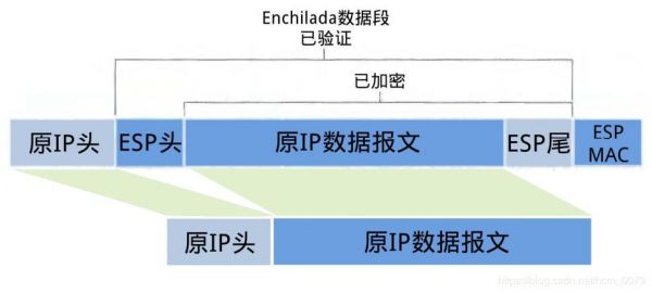 传输模式rtu（传输模式与隧道模式有何区别）-图2