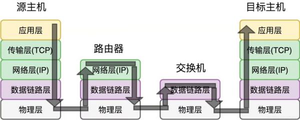 数据传输网络（数据传输网络的组成部分是什么）