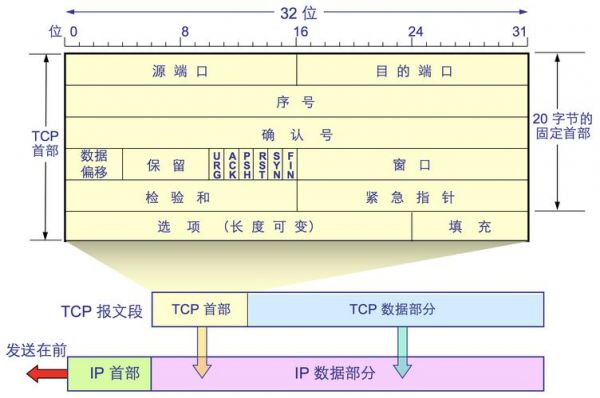 传输层报文格式（传输层的报文传送给目的计算机可经过两条路径）-图1