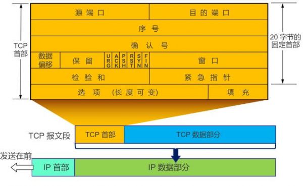 传输层报文格式（传输层的报文传送给目的计算机可经过两条路径）-图2