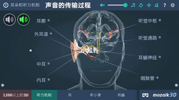 声音信号网络传输（传递声音信号）-图3